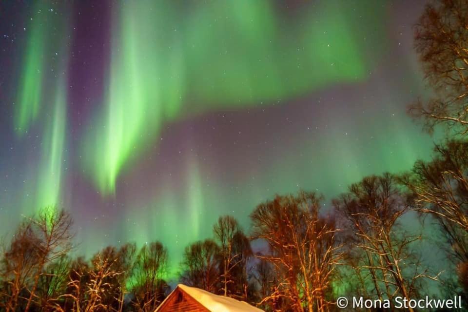 Susitna River Lodging, Suites Talkeetna Zewnętrze zdjęcie