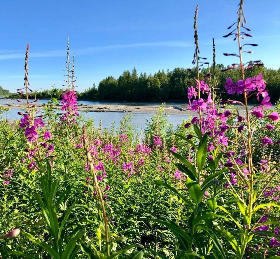 Susitna River Lodging, Suites Talkeetna Zewnętrze zdjęcie
